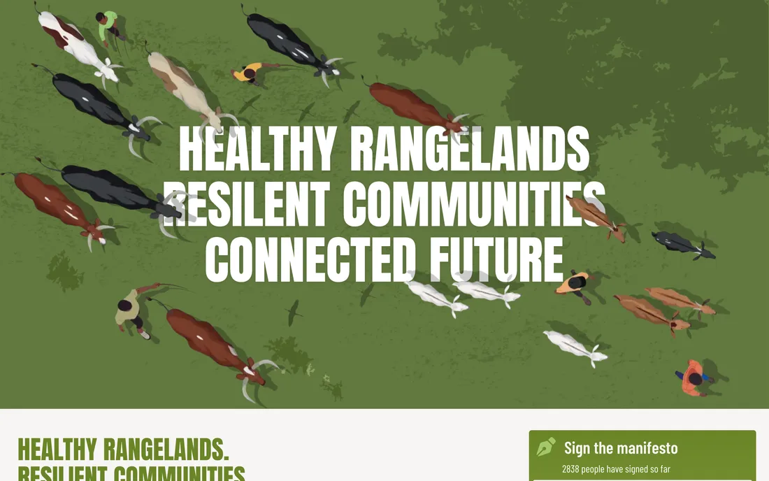 Preview of campaign.vsf-international.org